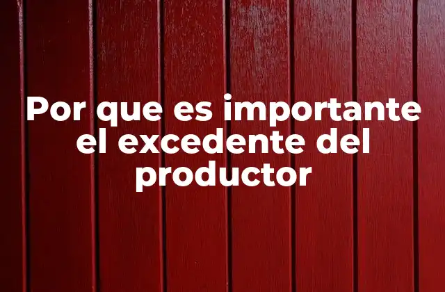 Por que es Importante el Excedente Del Productor