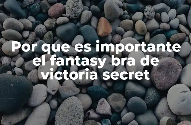 Por que es Importante el Fantasy Bra de Victoria Secret