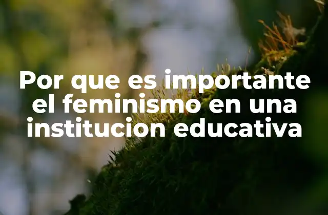 Por que es Importante el Feminismo en una Institucion Educativa