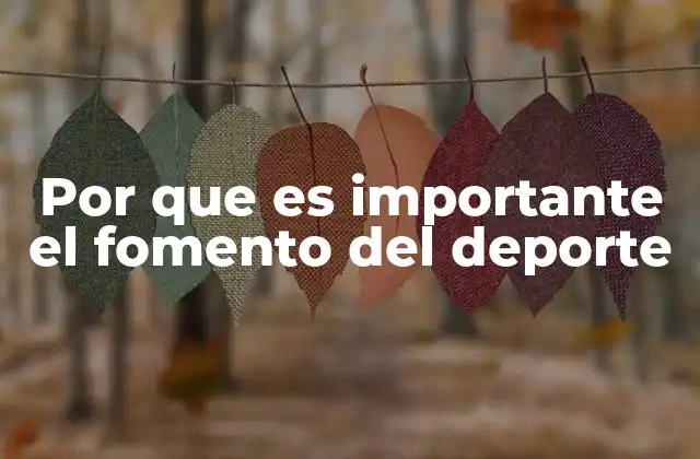 Por que es Importante el Fomento Del Deporte