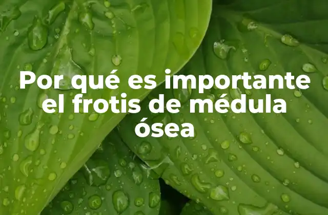 Por Qué es Importante el Frotis de Médula Ósea