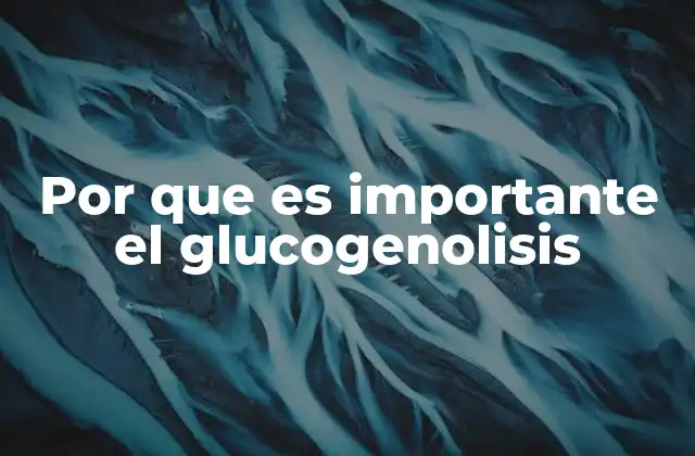 Por que es Importante el Glucogenolisis 2 El papel del glucogenolisis en la regulación energética