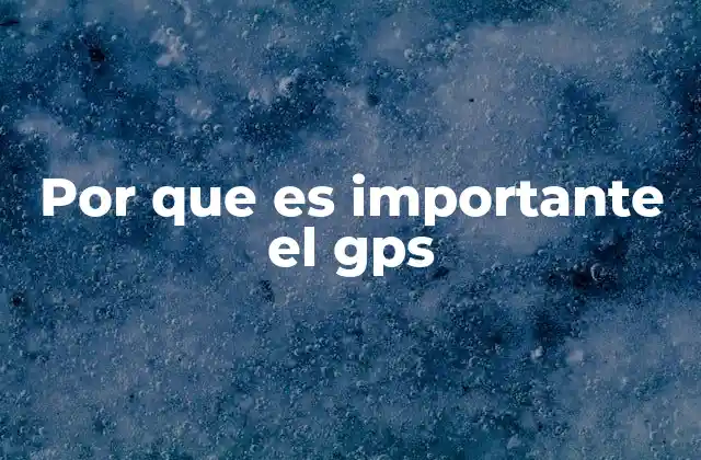 Por que es Importante el Gps