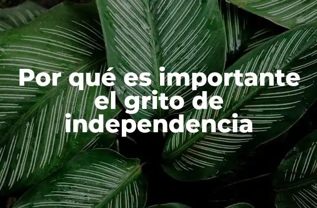 Por Qué es Importante el Grito de Independencia