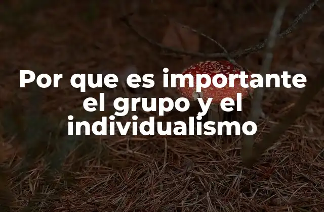 Por que es Importante el Grupo y el Individualismo
