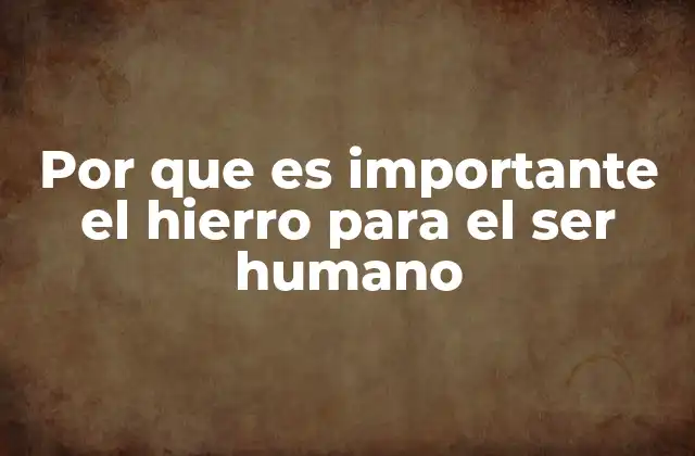Por que es Importante el Hierro para el Ser Humano