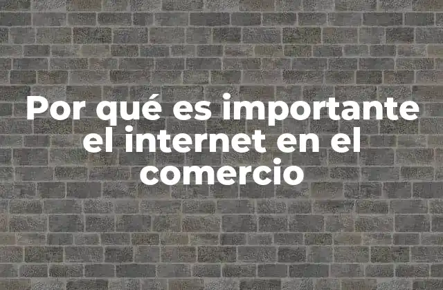 Por Qué es Importante el Internet en el Comercio