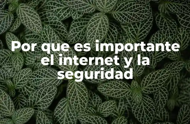Por que es Importante el Internet y la Seguridad