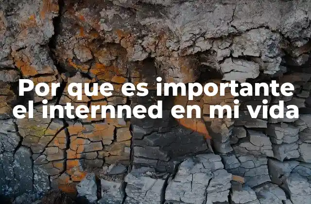 Por que es Importante el Internned en Mi Vida