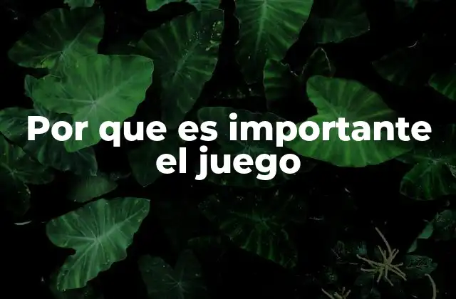 Por que es Importante el Juego