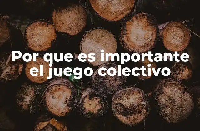 Por que es Importante el Juego Colectivo