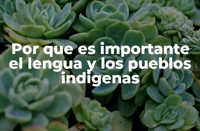 Por que es Importante el Lengua y los Pueblos Indigenas