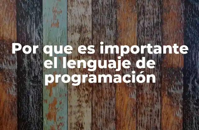 Por que es Importante el Lenguaje de Programación