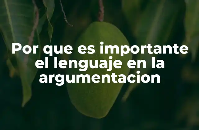Por que es Importante el Lenguaje en la Argumentacion
