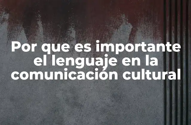 Por que es Importante el Lenguaje en la Comunicación Cultural