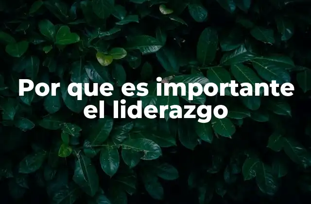 Por que es Importante el Liderazgo