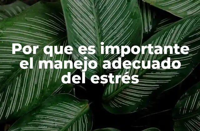 Por que es Importante el Manejo Adecuado Del Estrés