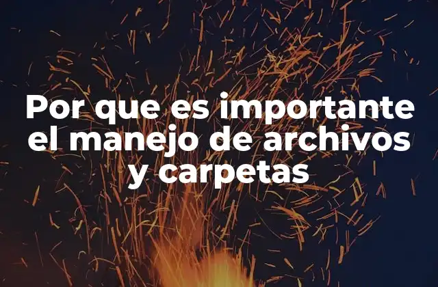 Por que es Importante el Manejo de Archivos y Carpetas
