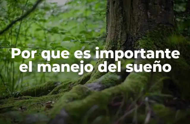 Por que es Importante el Manejo Del Sueño