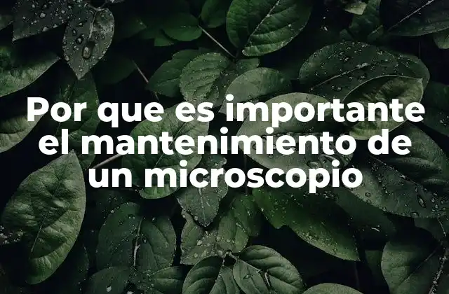 Por que es Importante el Mantenimiento de un Microscopio