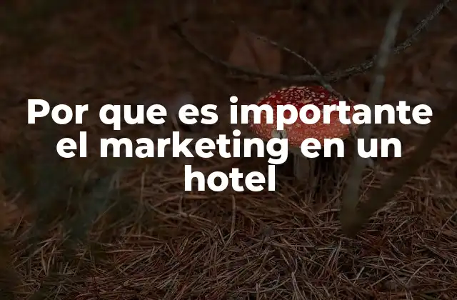 Por que es Importante el Marketing en un Hotel