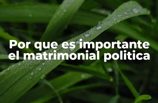 Por que es Importante el Matrimonial Politica