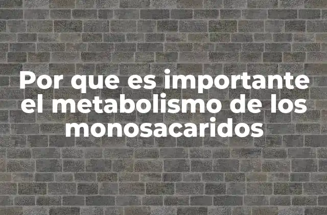 Por que es Importante el Metabolismo de los Monosacaridos