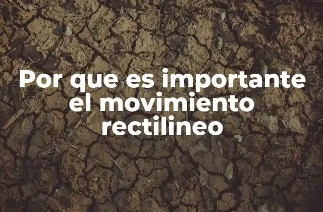 Por que es Importante el Movimiento Rectilineo