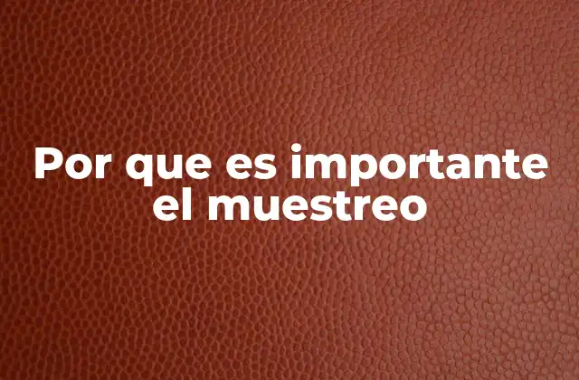 Por que es Importante el Muestreo