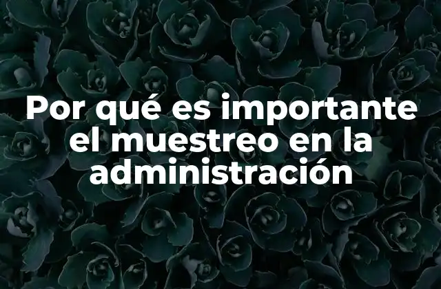 Por Qué es Importante el Muestreo en la Administración