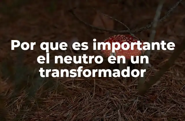 Por que es Importante el Neutro en un Transformador