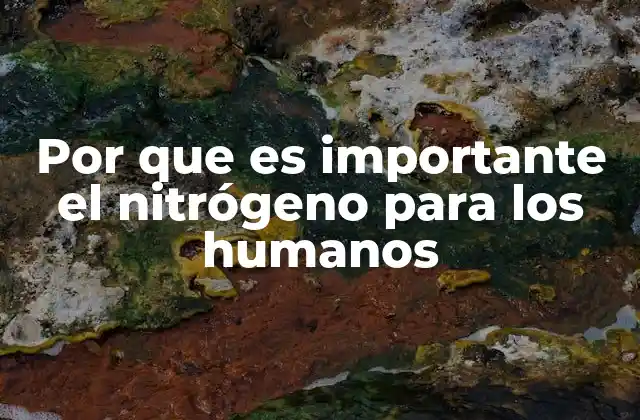 Por que es Importante el Nitrógeno para los Humanos
