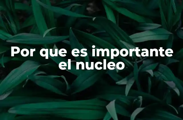 Por que es Importante el Nucleo