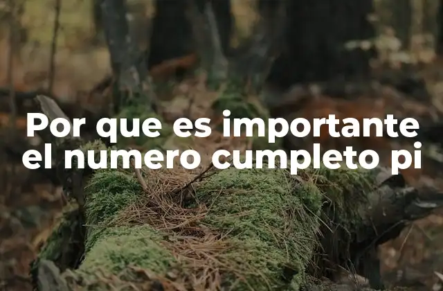 Por que es Importante el Numero Cumpleto Pi