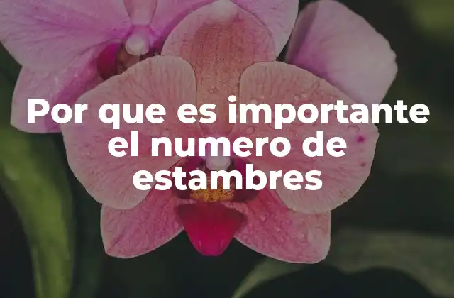 Por que es Importante el Numero de Estambres
