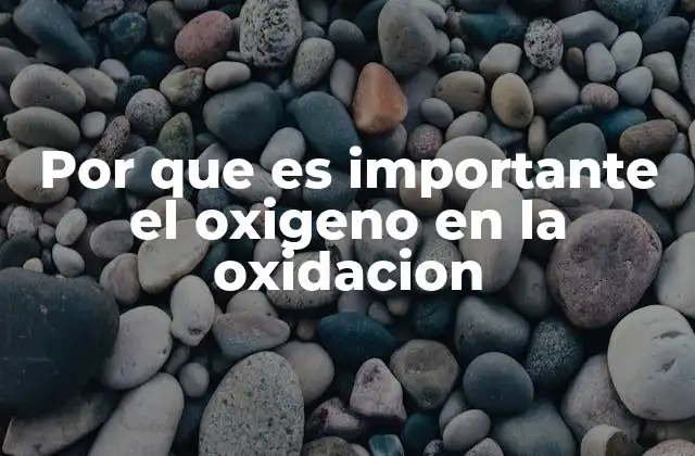 Por que es Importante el Oxigeno en la Oxidacion