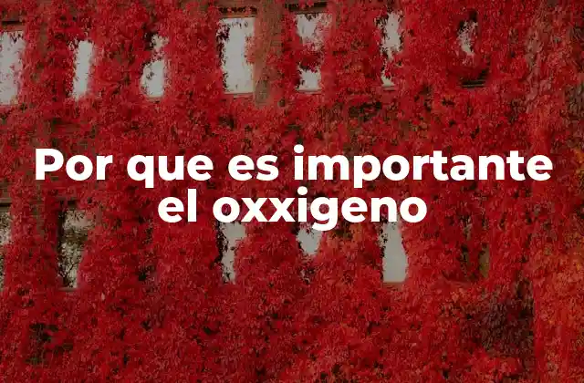 Por que es Importante el Oxxigeno