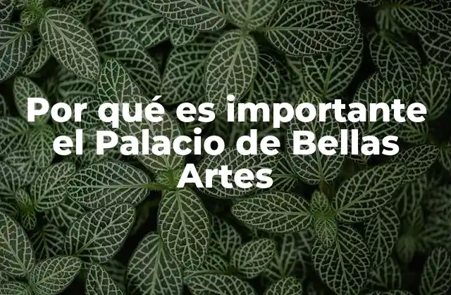 Por Qué es Importante el Palacio de Bellas Artes