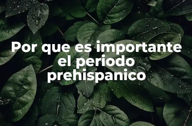 Por que es Importante el Periodo Prehispanico