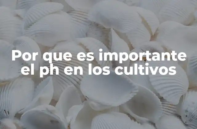 Por que es Importante el Ph en los Cultivos