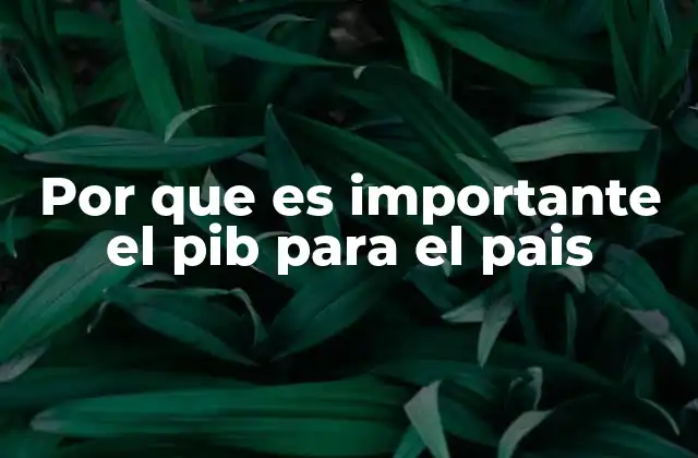 Por que es Importante el Pib para el Pais 2 Cómo el PIB refleja la salud económica de una nación