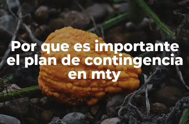 Por que es Importante el Plan de Contingencia en Mty