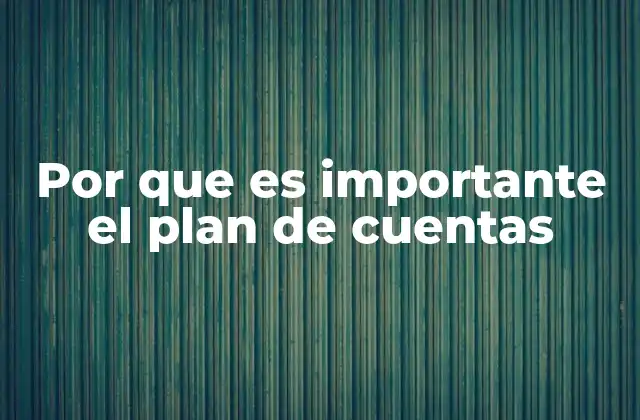 Por que es Importante el Plan de Cuentas