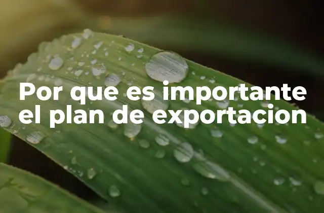 Por que es Importante el Plan de Exportacion