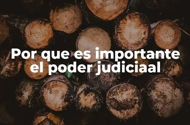 Por que es Importante el Poder Judiciaal