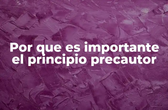 Por que es Importante el Principio Precautor