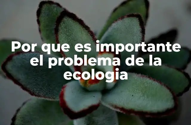 Por que es Importante el Problema de la Ecologia