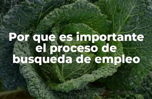 Por que es Importante el Proceso de Busqueda de Empleo