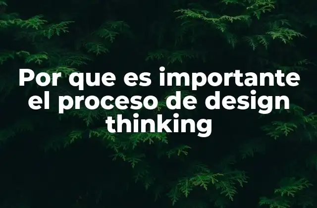 Por que es Importante el Proceso de Design Thinking