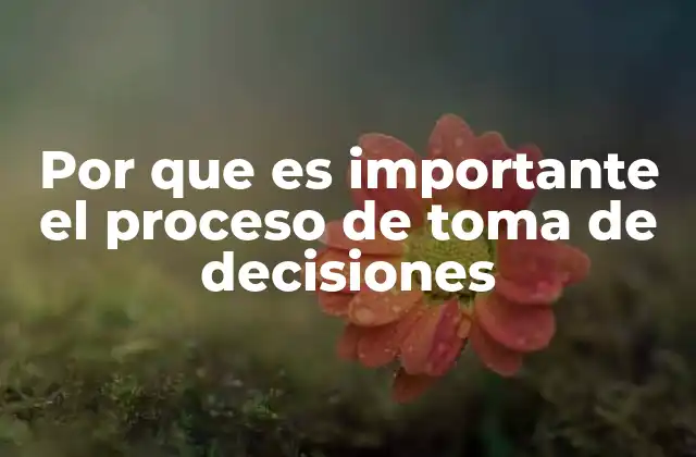 Por que es Importante el Proceso de Toma de Decisiones